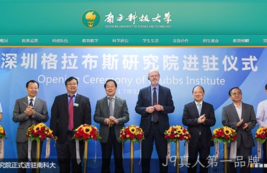 点击查看