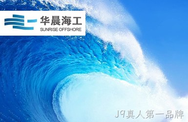 点击查看中国华晨（集团）有限公司案例