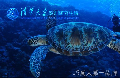 点击查看