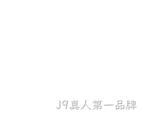 网站开发