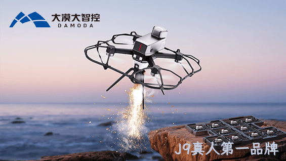 公司网站