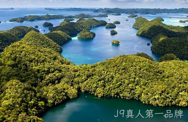 点击查看