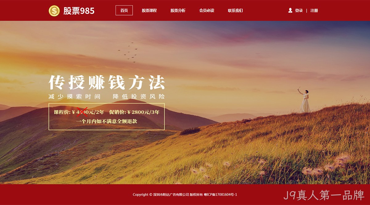 盼达广告网站案例