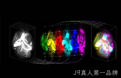北京清准医学案例图片