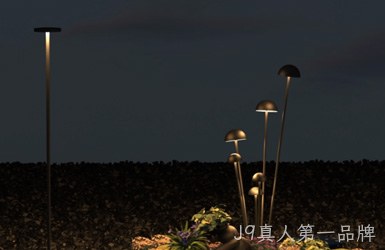 点击查看