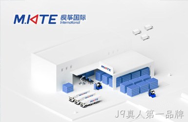 枫筝国际网站案例