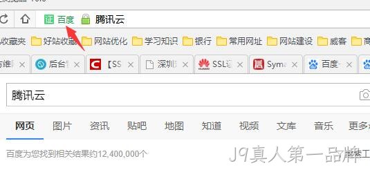 HTTPS 公司名显示2