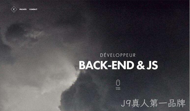 品牌网站设计