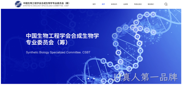 网站设计图