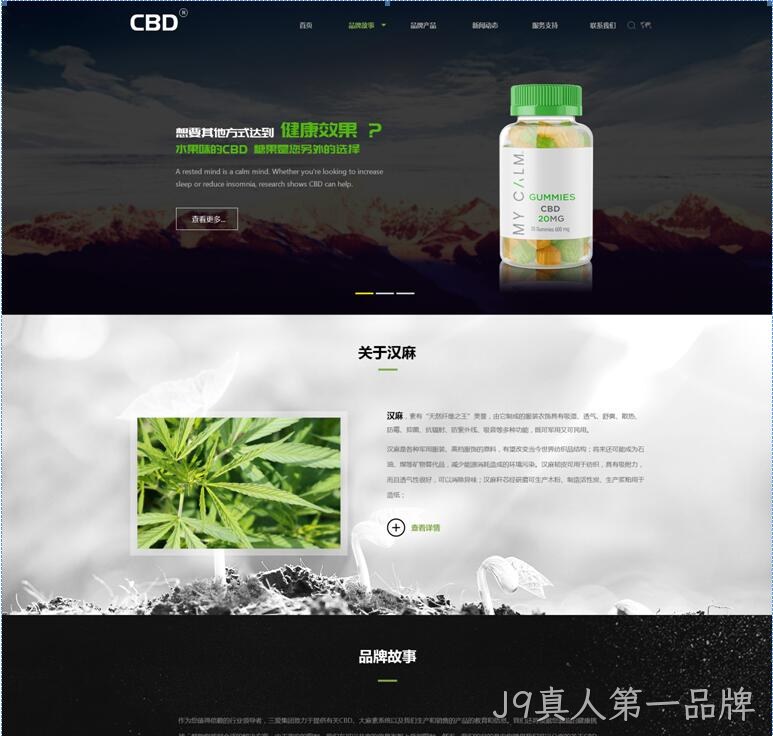 网站设计效果图