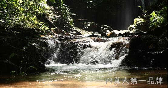茶叶产地