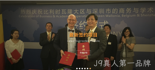 网站案例