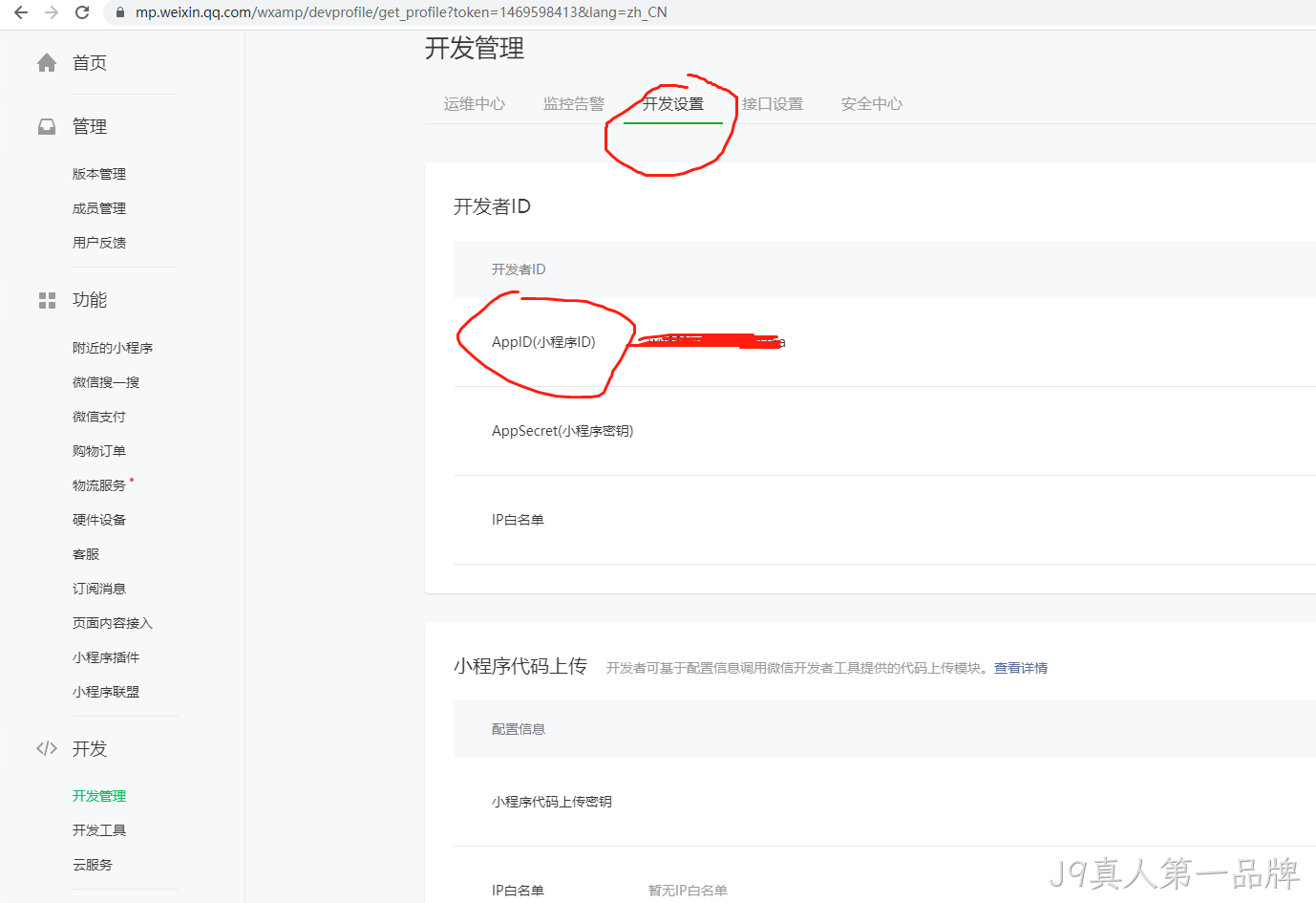开发设置
