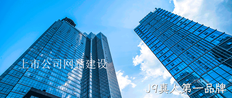 上市公司网站建设