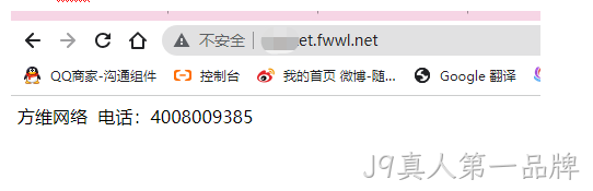 显示网页
