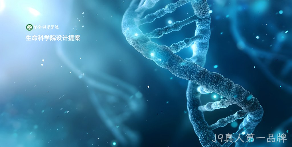 学院网站设计