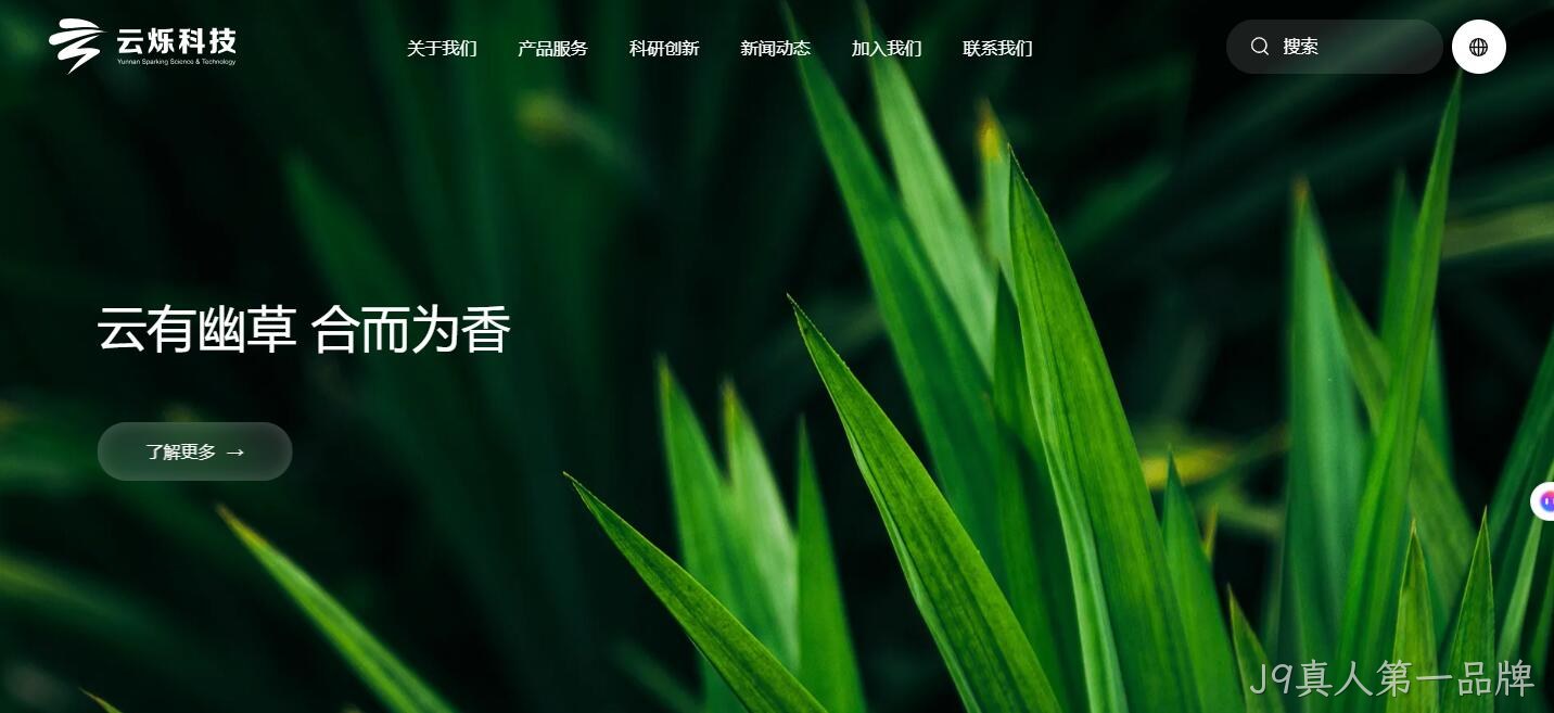 云南网站建设公司