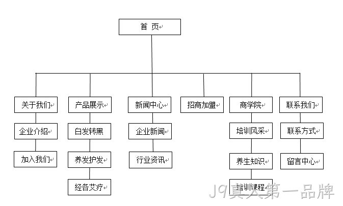 网站