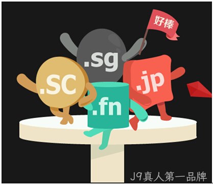 网站域名