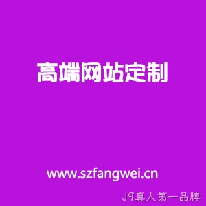 高端定制网站