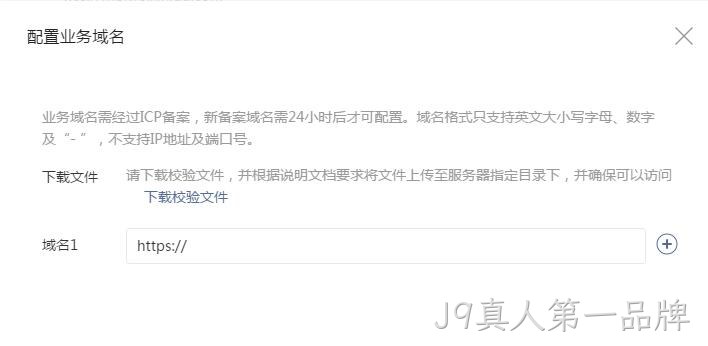 配置业务域名要求