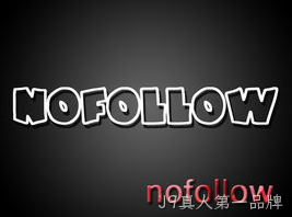 nofollow检测