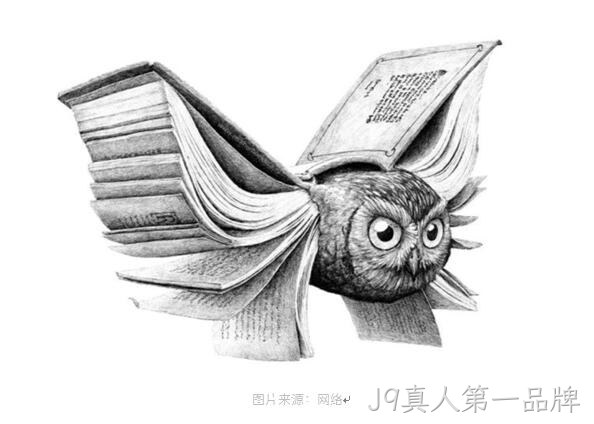 网站设计能力一