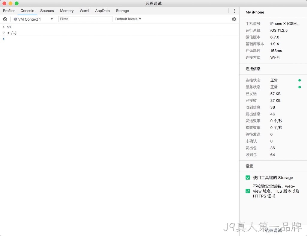 远程调试窗口