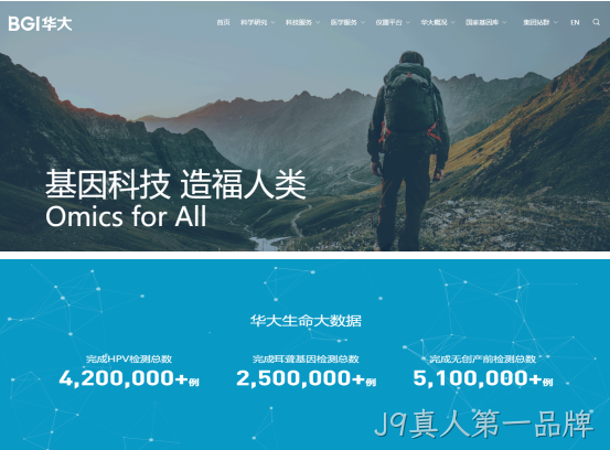 网站案例