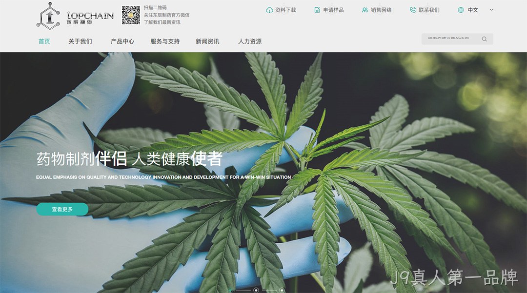 制药公司网站建设