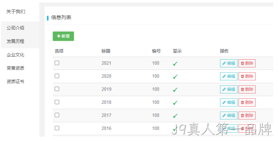 企业网站开发2