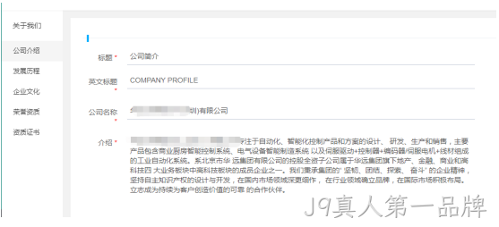 企业网站开发