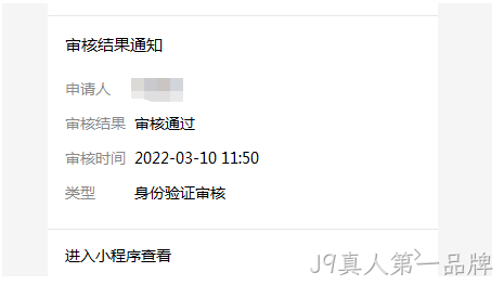 审核结果