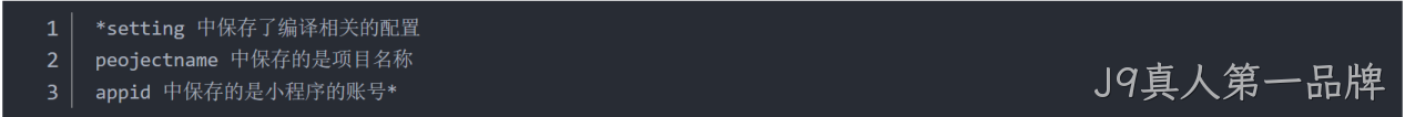JSON 配置文件