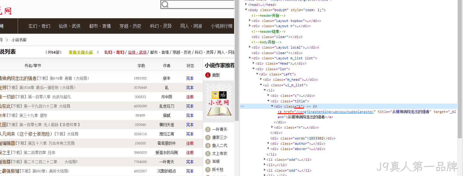 网站